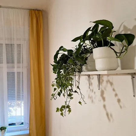 Pearl Apartman Διαμέρισμα Γκιόρ